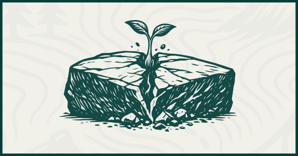 Your Idea is a Force of Nature