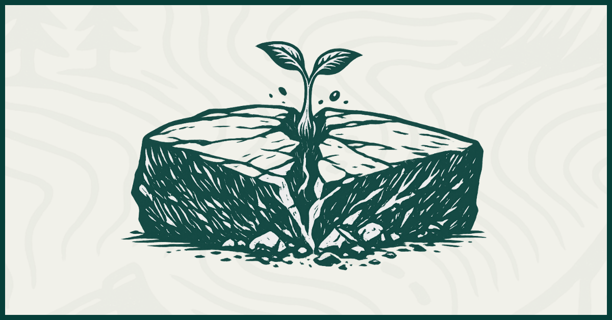 Your Idea is a Force of Nature