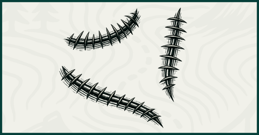 LAD_OtherPeoplesScars_1200x628-1